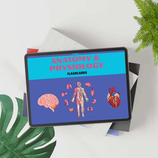 Anatomy & Physiology Flashcards