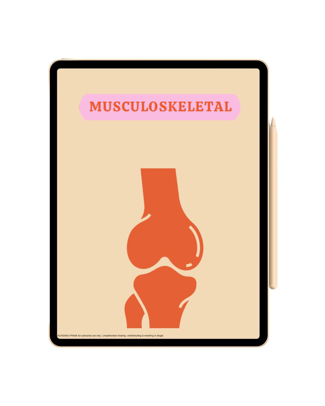 Musculoskeletal Notes