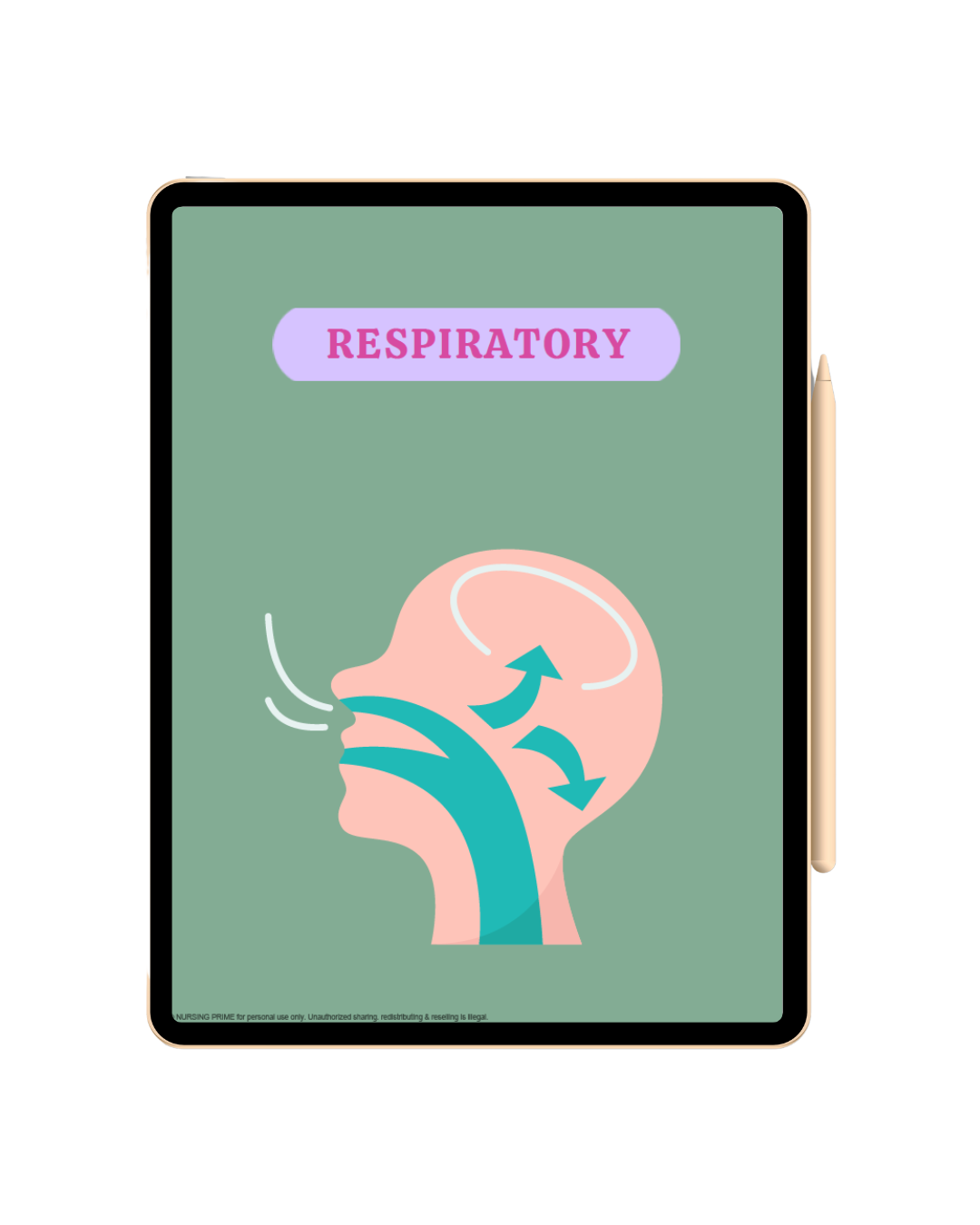Respiratory Notes