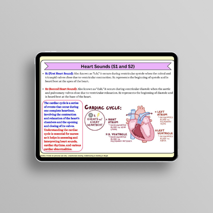 Anatomy & Physiology Flashcards