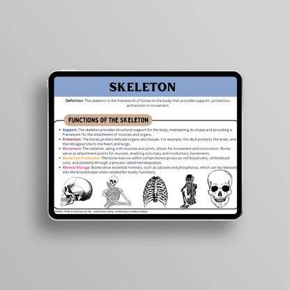 Anatomy & Physiology Flashcards