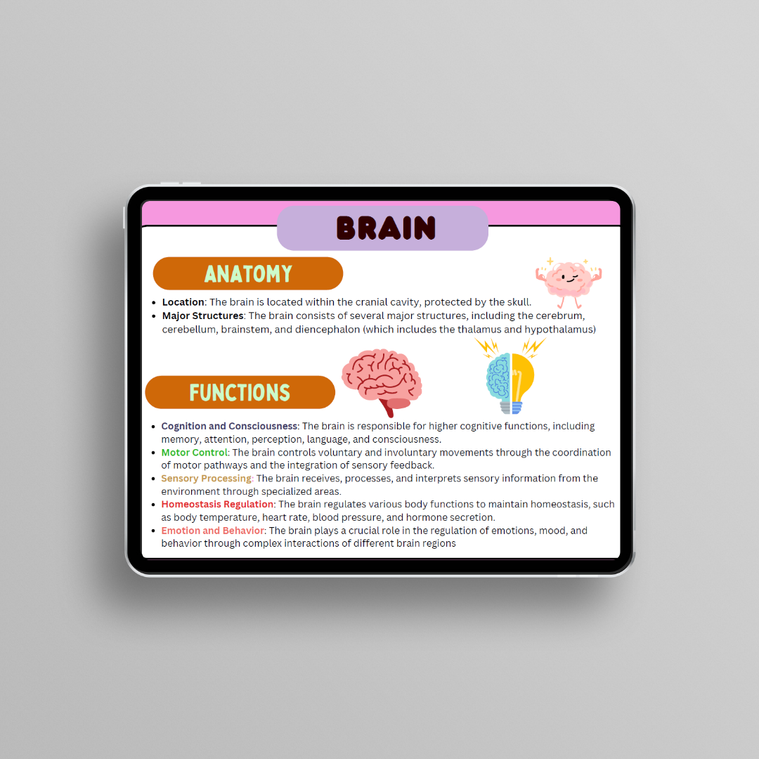 Anatomy & Physiology Flashcards