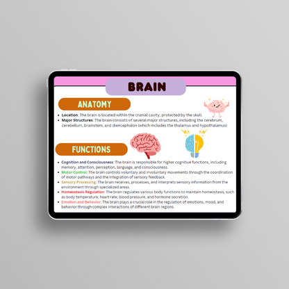 Anatomy & Physiology Flashcards