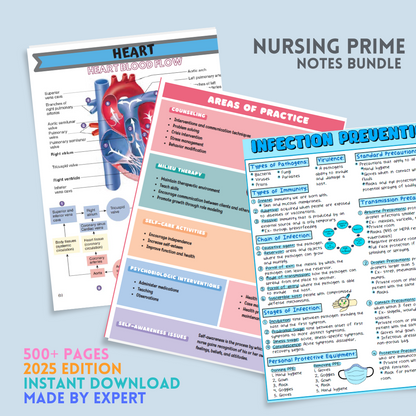 Nursing Prime Notes Bundle