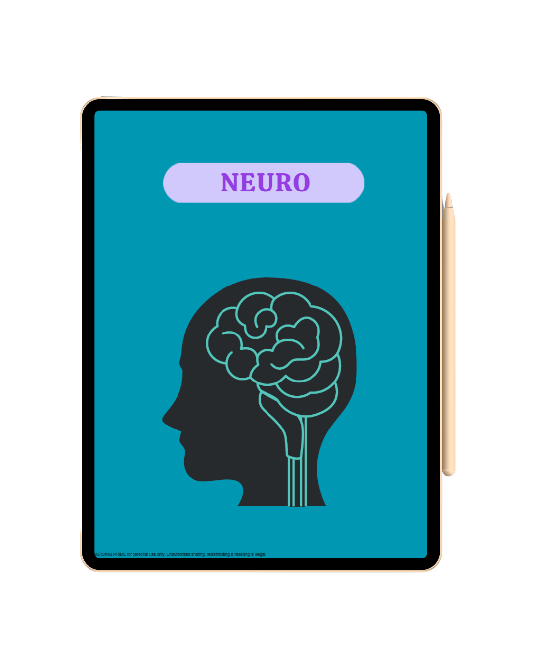Neurology Notes