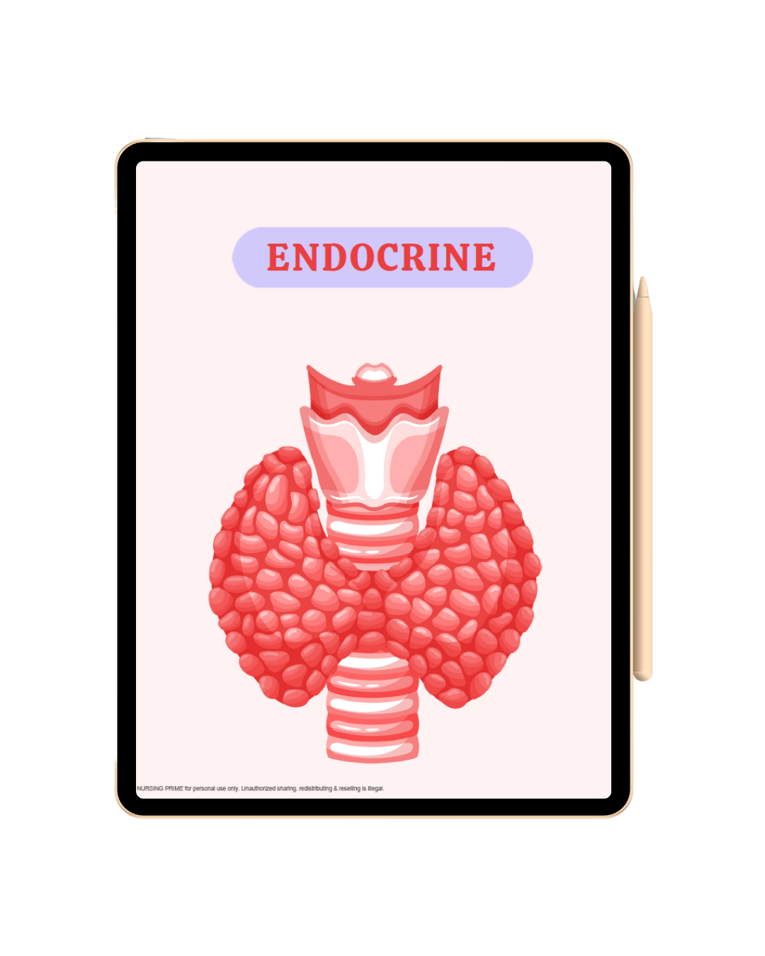 Endocrine Notes