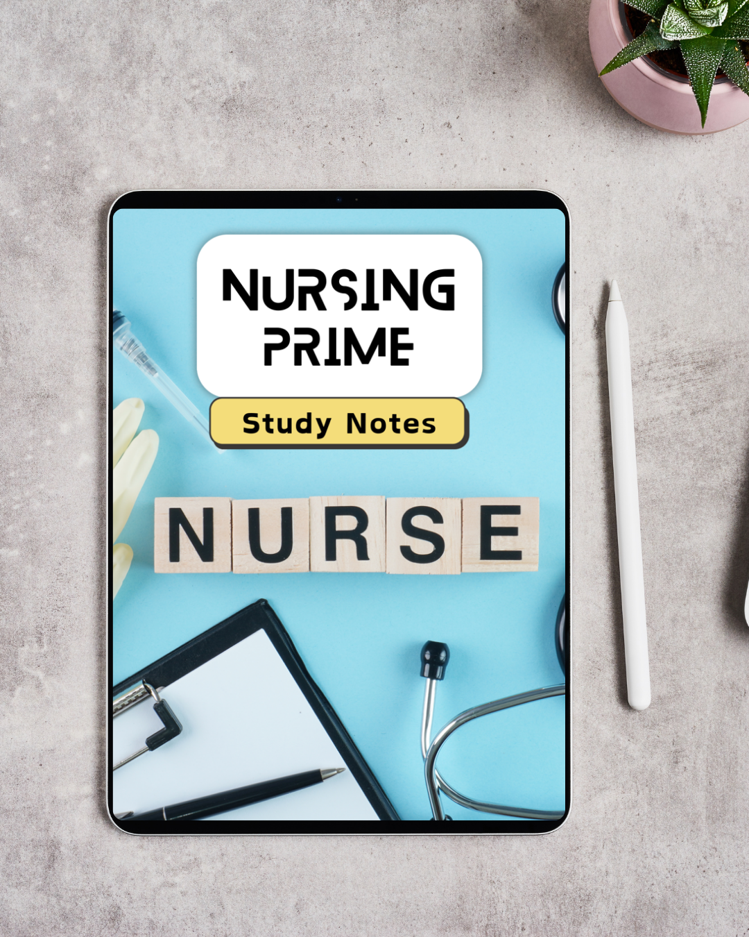 Nursing Prime Notes Bundle