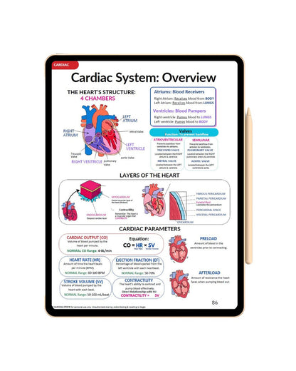 Nursing Essential Bundle Notes