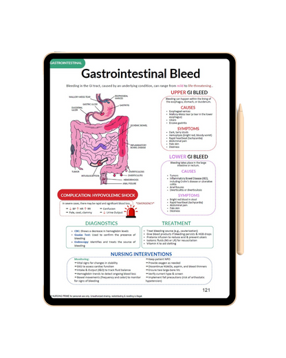 Nursing Essential Bundle Notes
