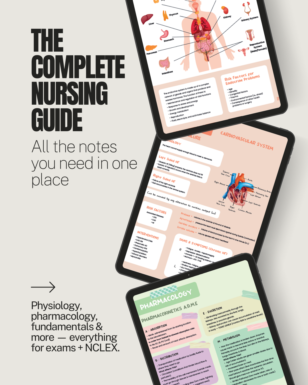 The Complete Nursing Prime Notes Bundle (2026 Edition)