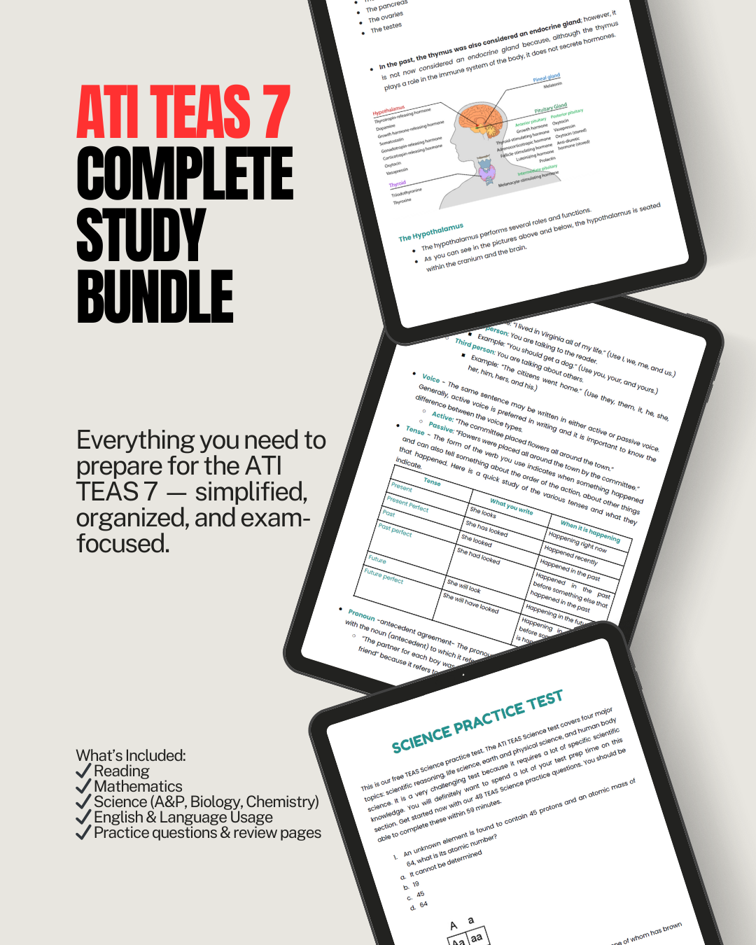 ATI TEAS 7 Complete Study Bundle