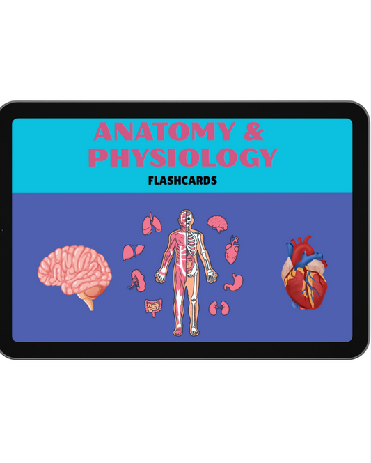 Anatomy & Physiology Flashcards